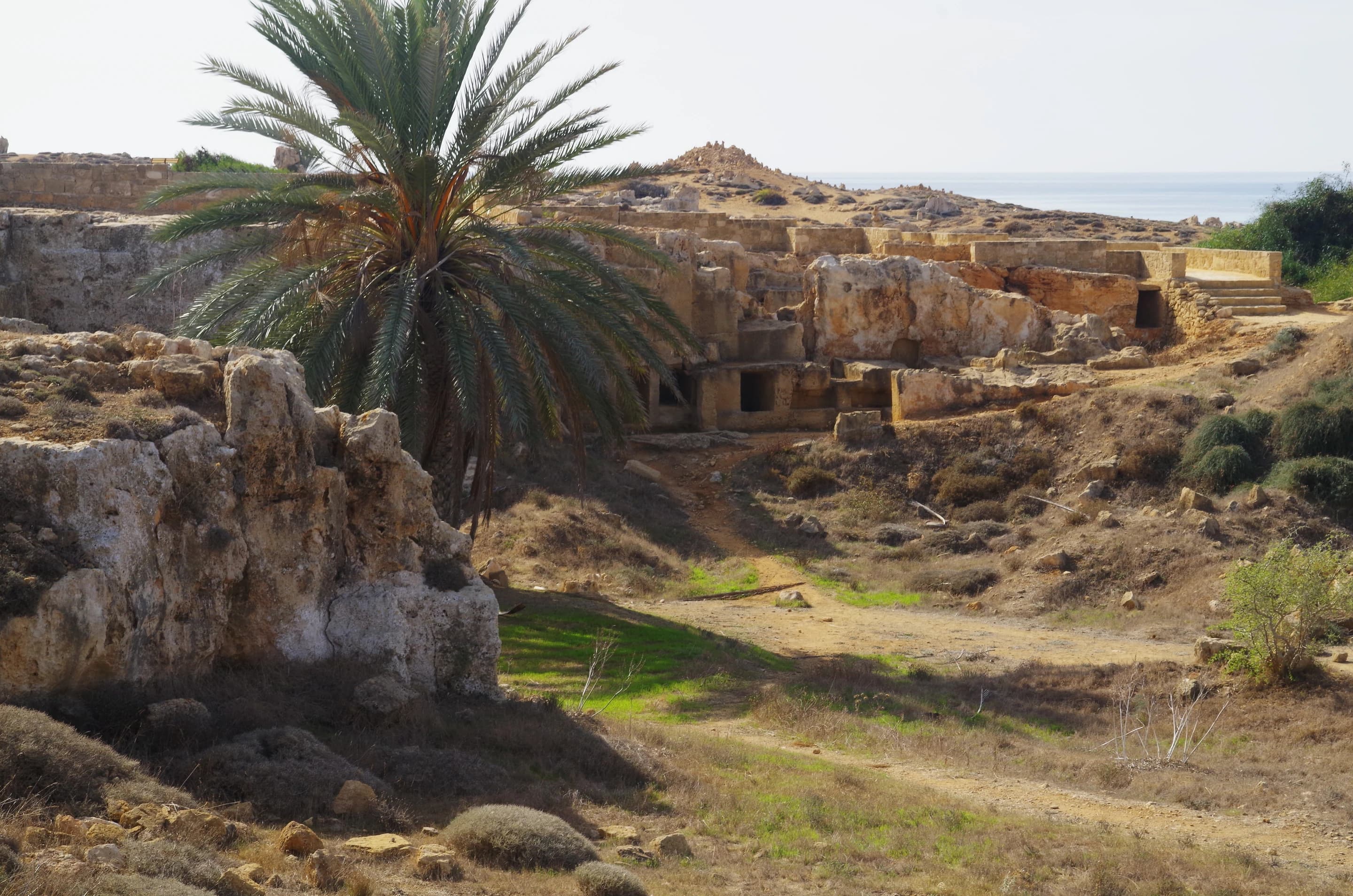 Rotsgraven en palmbomen bij Tombs of the Kings in Paphos