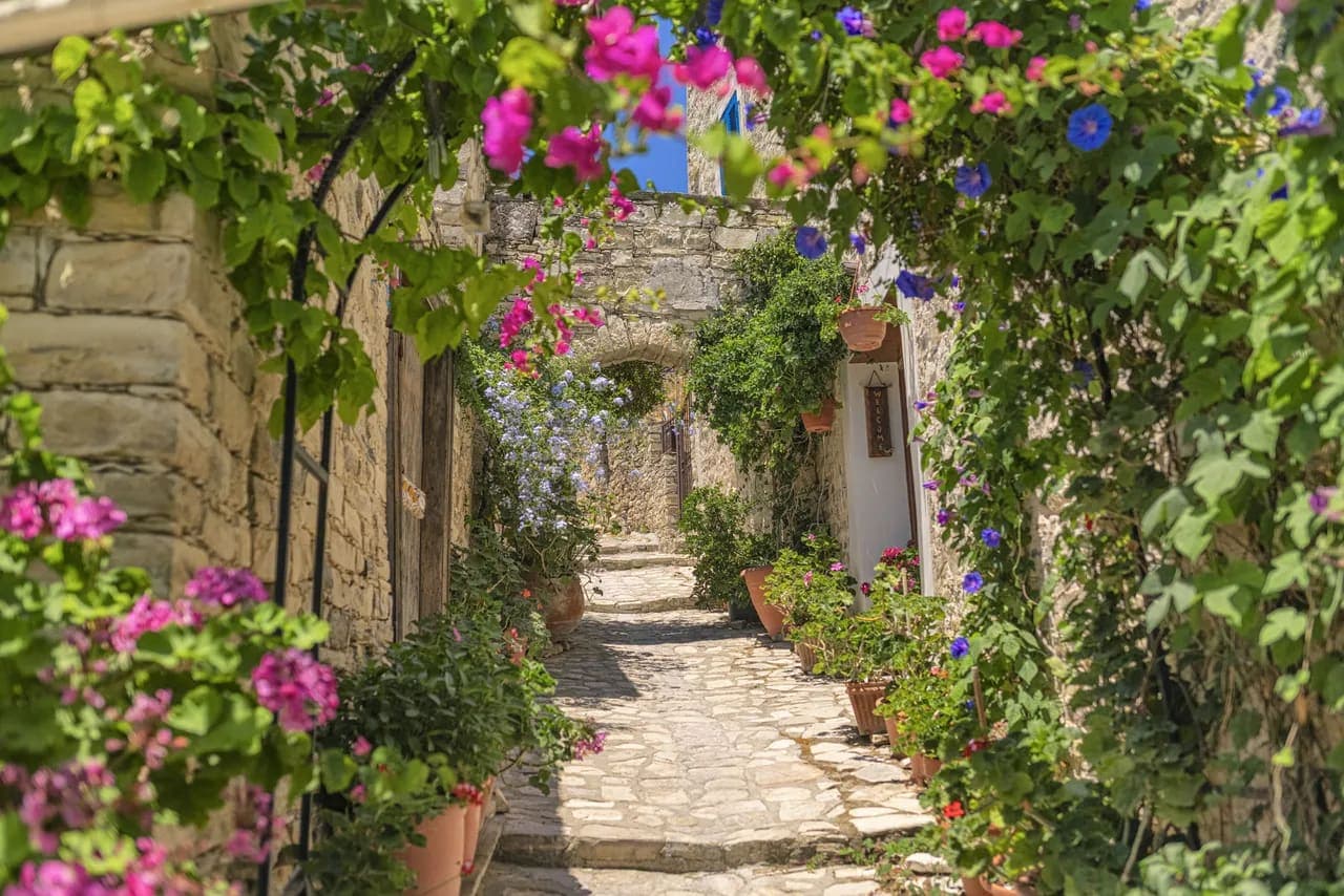 Bloemrijk stenen dorpsstraatje op Cyprus met bougainvillea en potplanten