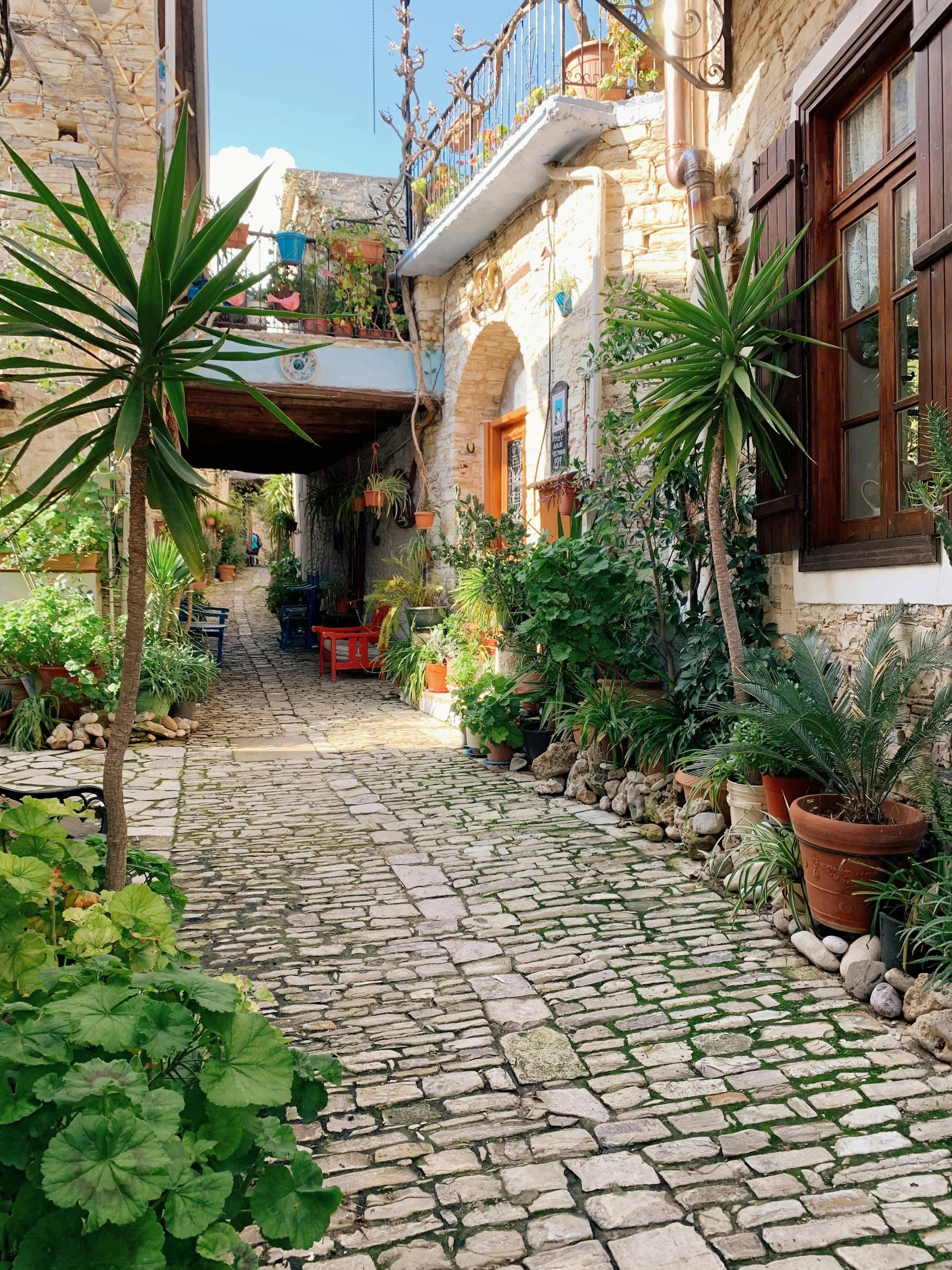 Traditionele binnenplaats met bloemen en planten in Lefkara op Cyprus