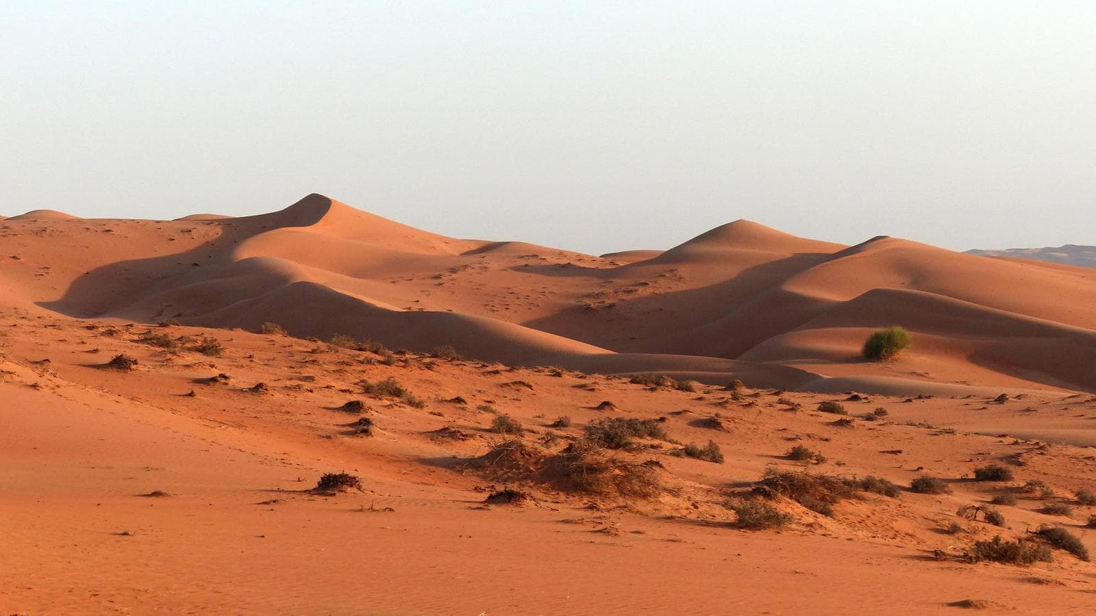 Oranje zandduinen van Wahiba Sands in Oman